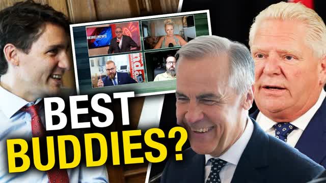 'What is your game?': Ezra Levant reacts to Doug Ford saying he will 'never stop' provoking Trump