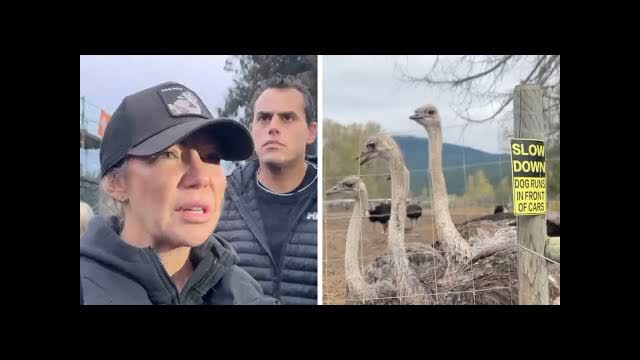 LIVE COVERAGE: Killing of healthy ostriches greenlit, Drea Humphrey on the farm