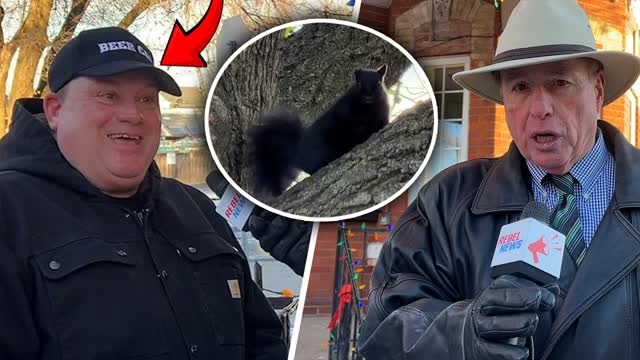 NUTS: Hamilton man receives ticket for feeding peanuts to a squirrel
