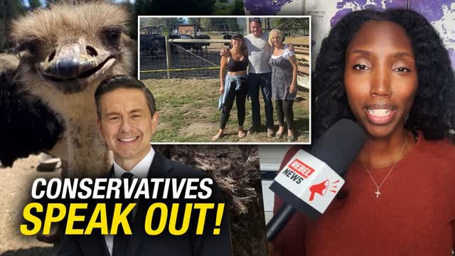 'Explain yourselves': Conservative MP Scott Anderson takes ostrich fight to Parliament