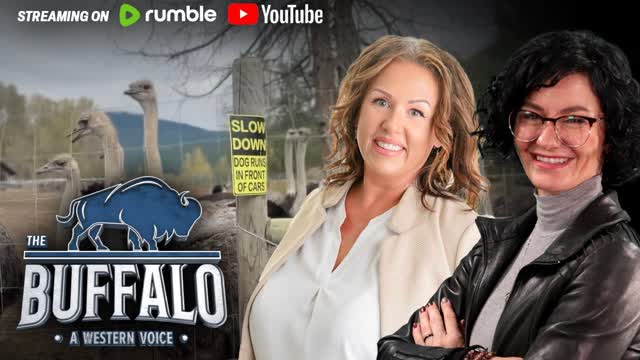 LIVE | Cull stayed for ostrich farm, RCMP & CFIA hay fire, Rebels on the ground | Buffalo Roundtable