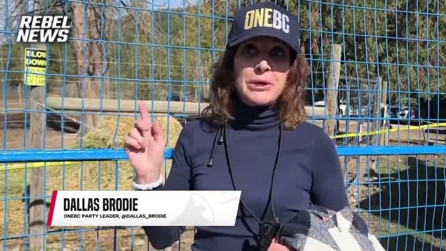'Where are you?': OneBC leader Dallas Brodie calls out David Eby and John Rustad over ostrich cull