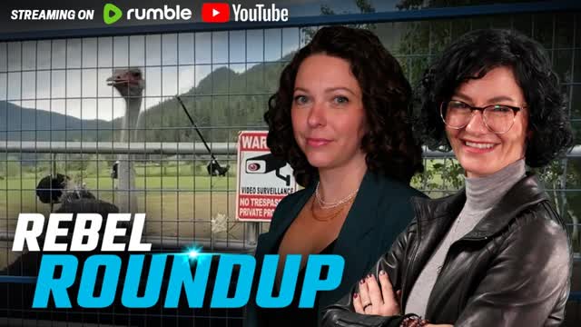 Live from ostrich farm, Trump lists Antifa as terrorists, Poilievre calls out Carney | Rebel Roundup