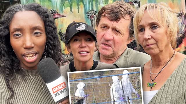 Ostrich vet granted limited access to seized flock after CFIA animal cruelty claims go viral