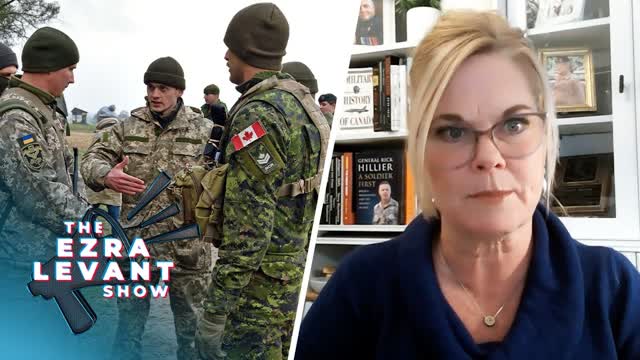 Plan to rely on public servants for military reserve force like 'South Park': Tracey Wilson