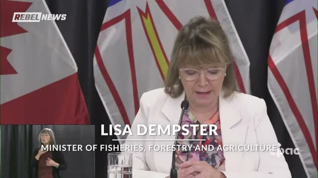 6 months in prison and fines of $100k for those breaking Newfoundland and Labrador fire ban