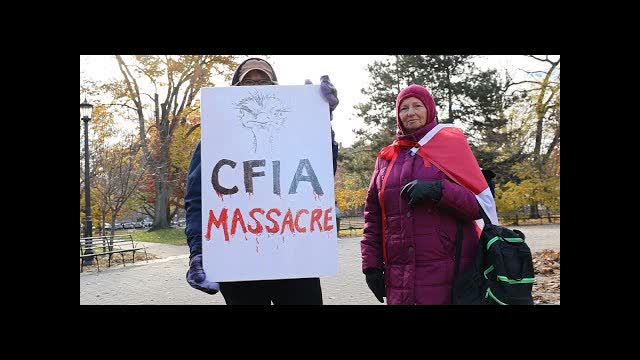 RAW: Patriotic ostrich supporters sing 'O Canada' in protest in Toronto