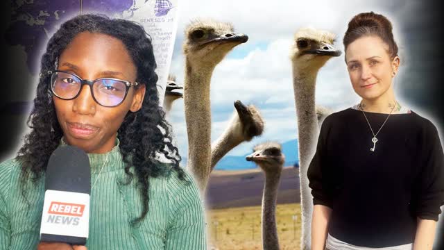 CFIA ostrich farm overreach accelerates as neighbour's property seized, threatened with arrest