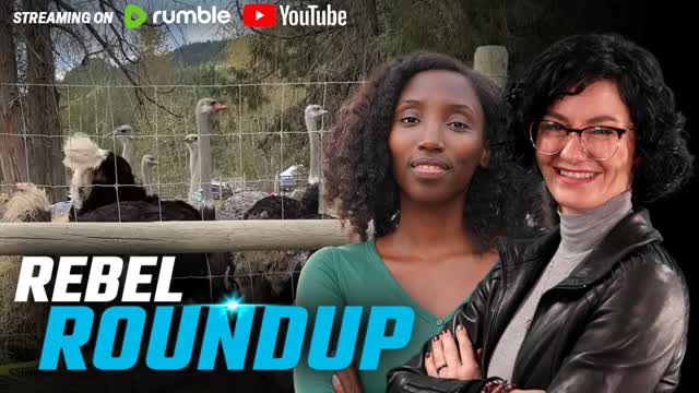Ostrich Thanksgiving, Reactions to Antifa in Cdn military, Rowling rips Vancouver | Rebel Roundtable