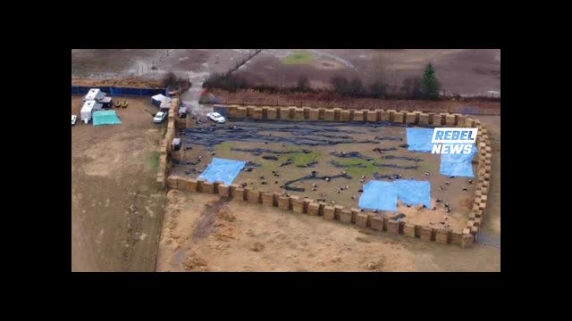 EXCLUSIVE: Drone footage shows hundreds of dead ostriches after government slaughter