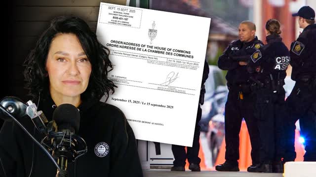 Nearly 400 foreign criminals, human rights violators and security threats still in Canada