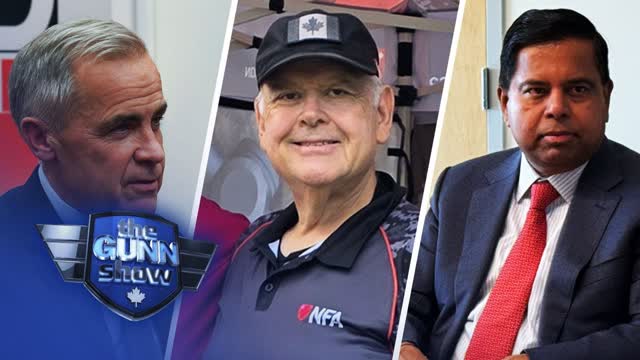 Liberal Gun Grab Collapses Again � Now Six Years of Amnesty for the Law-Abiding | THE GUNN SHOW