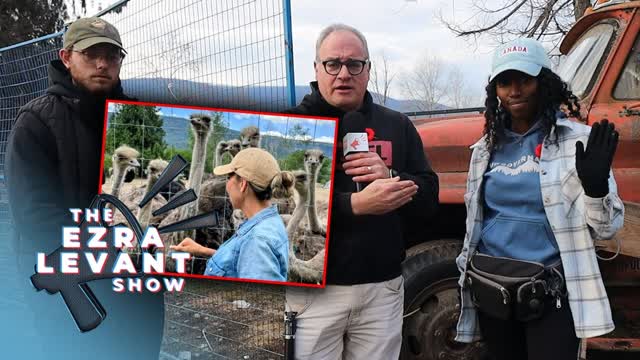 'A lot of questions to be answered' after ostrich slaughter