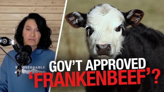 Frankenbeef: Liberals Cloned Meat Policy Lets 