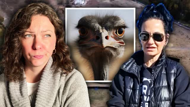 Relative Calm as Ostrich Farm Awaits Supreme Court Decision