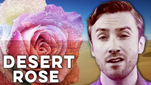 Peter Hollens & Alaa Wardi Desert Rose (Sting feat. Cheb mami Cover)