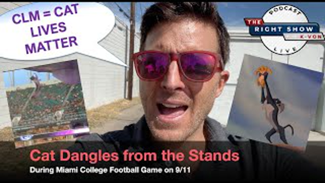 Patriots Save Cat's Life w/ USA Flag at Football Game! (...K-von cheers)