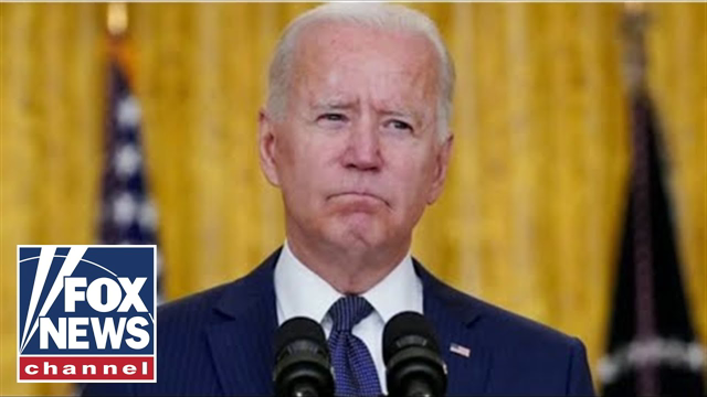 Gingrich riffs on DC elite's boredom with 'Rip Van Winkle' Biden