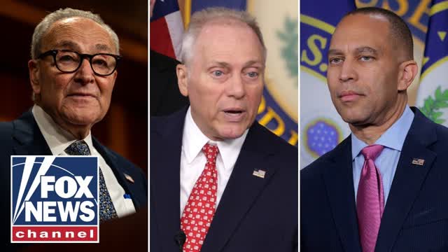 Steve Scalise: Democrats need to �END THIS MADNESS� immediately