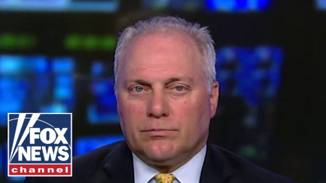 Democrats only want power: Scalise