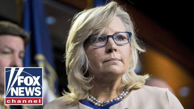 Liz Cheney thinks she's 'moral judge' of Republicans: Gingrich