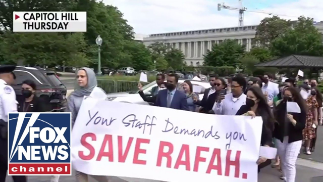 Dem staffers told to wear masks, remove IDs before anti-Israel protest