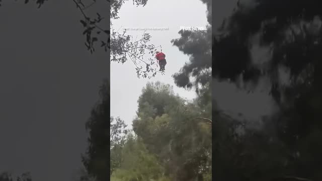 Crews rescue CA man clinging to tree from fast-rising floodwaters