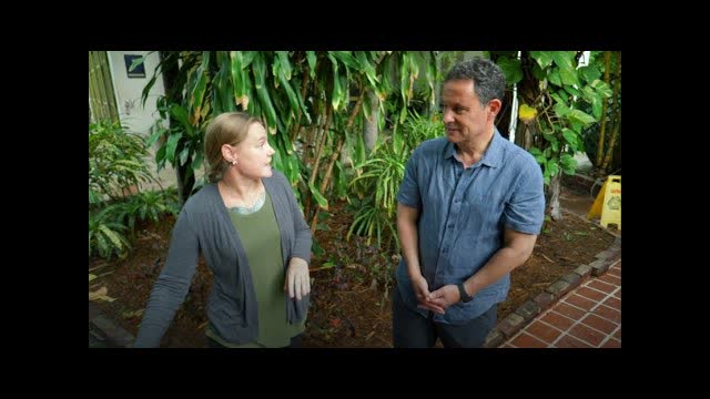 What Made America Great - Hemingway House (Patriot Premium)