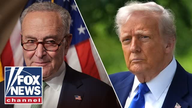 Chuck Schumer calls Trump 'a THREAT to democracy'