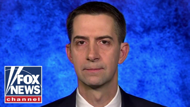 Tom Cotton demands 'devastating military retaliation' after attack in Jordan