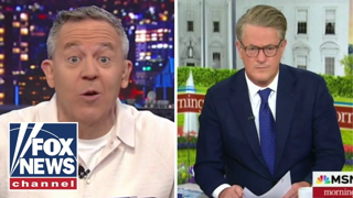 Gutfeld: How dumb does MSNBC think we are?