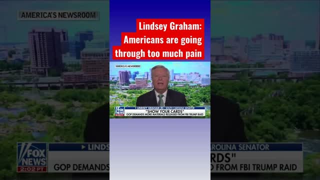 Lindsey Graham calls out ‘endless effort to destroy Donald Trump’ #shorts