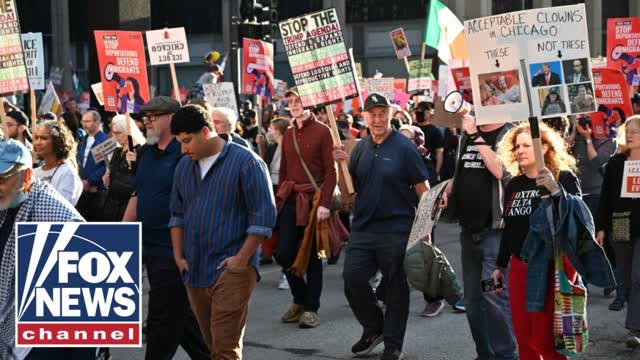 Former Border Patrol chief tears into anti-ICE protests: 'This is ridiculous!'