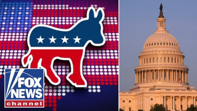'NO DOUBT ABOUT IT': Dems blasted for putting 'partisan' politics first amid shutdown