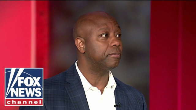 There's not a more important midterm for America's future: Sen. Tim Scott