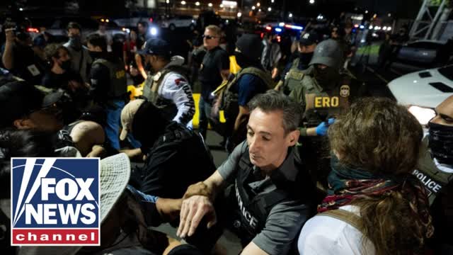 Tricia McLaughlin rips Dem's lawsuit against ICE: 'Political theater'