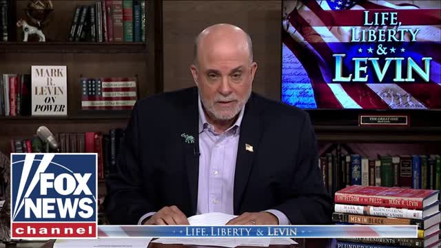 Levin: Dems are in a 'CONSTANT state of SABOTAGE'