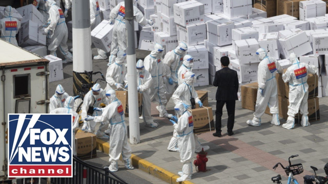 Chinese immigrant rips Shanghai lockdown: 'They've gone mad'