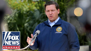 How DeSantis won - and Crist's loss made history