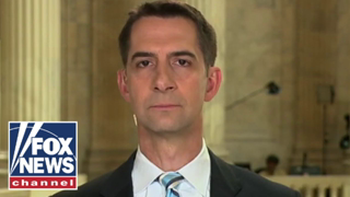 Government has no business doing this: Sen. Cotton