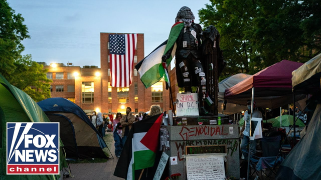 'ABSOLUTELY DISGUSTING': GOP rep blasts violence, vandalism on college campuses