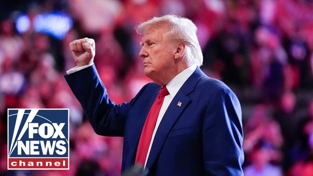 MIDDLE-CLASS BOOM: Economist lays out Trump's plan to lower taxes