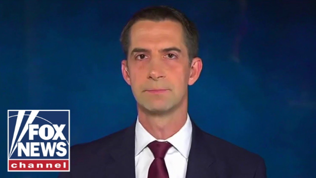 Tom Cotton: Dems 'won't treat criminals as the criminals they are'