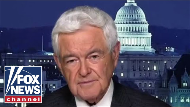 Gingrich blasts Democrats' refusal to pivot from doctrine