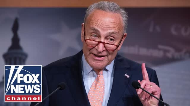Mike Johnson: Chuck Schumer is playing a 'self-serving political game'