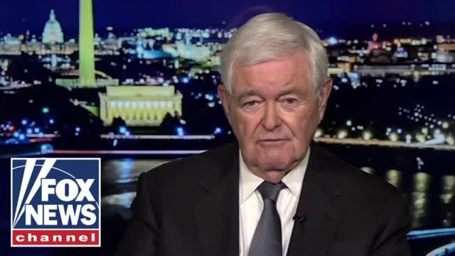 Newt Gingrich: These guys are 'CRAZY'