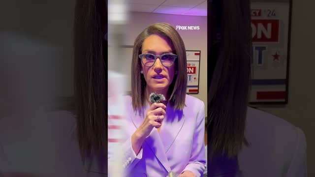 Jessica Tarlov on what is driving voter turnout