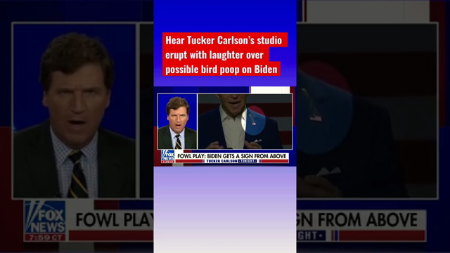 Tucker’s epic segment on possible bird dropping on Biden #shorts