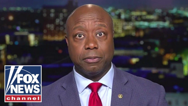 'STUNNED' Tim Scott reacts to Biden comments, says they are 'disgusting and despicable'