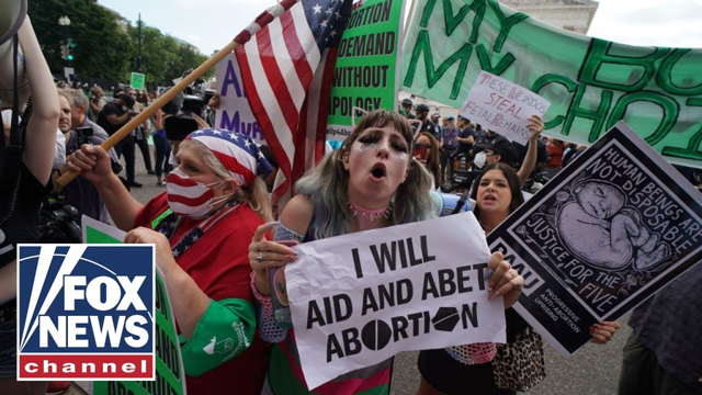 Roe v. Wade was ‘egregiously wrong’: Sen. Lee